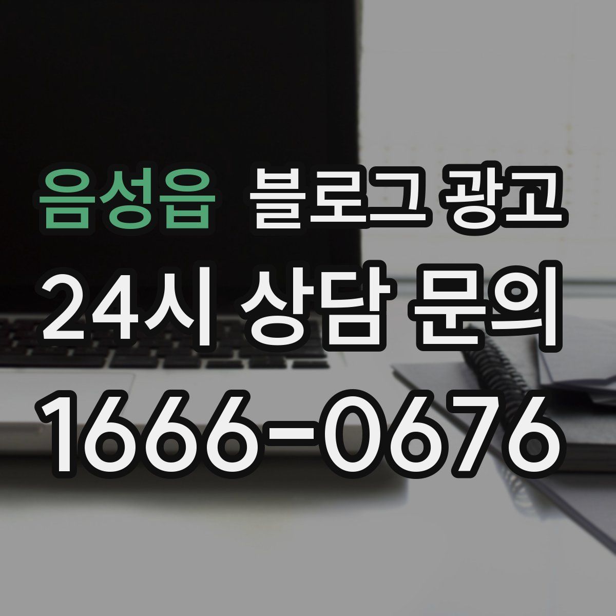 음성읍 블로그 광고