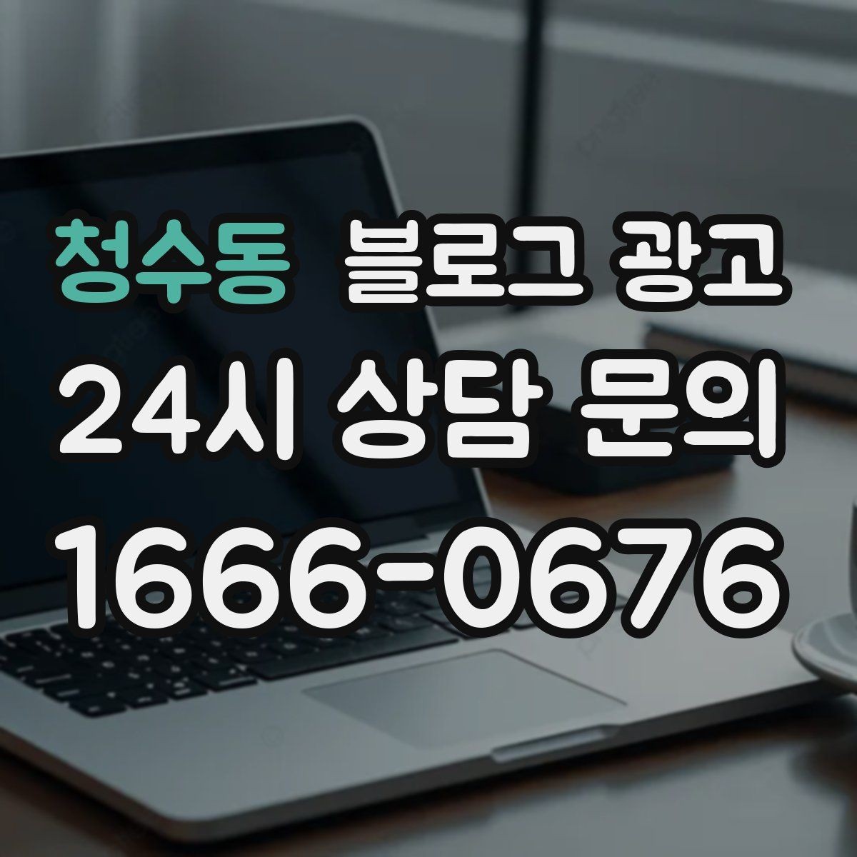 청수동 블로그 광고 반려동물 병원 미용샵 보호자 안심 포인트 정리