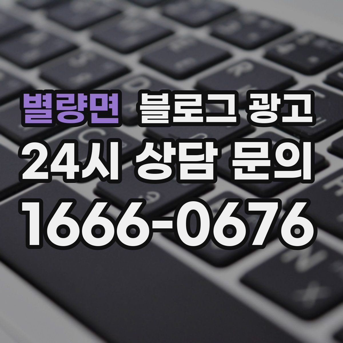 별량면 블로그 광고 검색광고와 역할을 나누는 실전 운영법