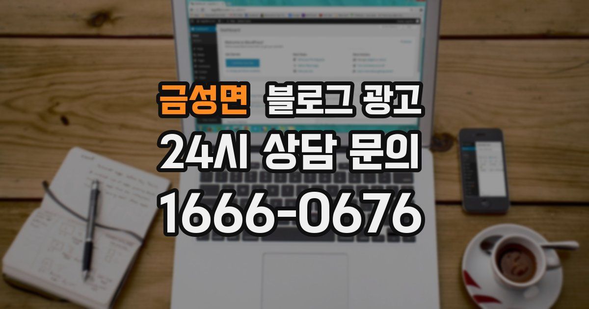 금성면 블로그 광고