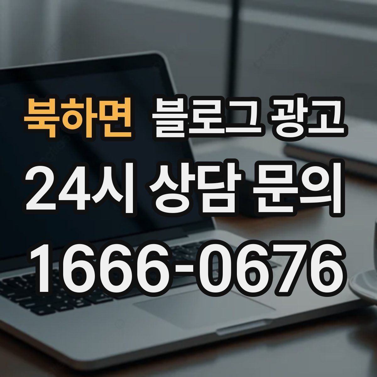 북하면 블로그 광고 반려동물 병원 미용샵 보호자 안심 포인트 정리