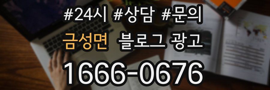 금성면 브랜드 블로그