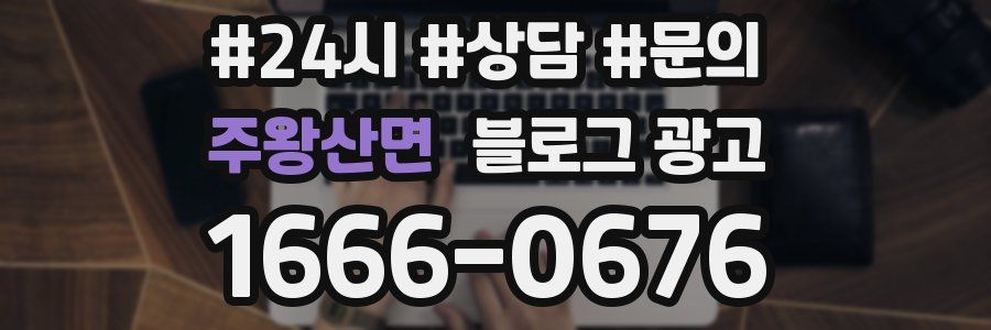주왕산면 브랜드 블로그