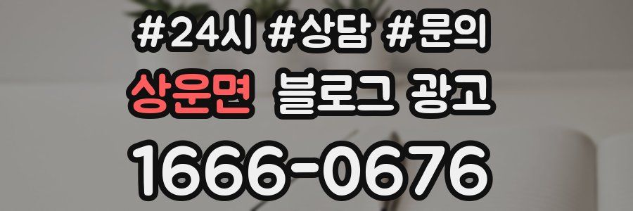 상운면 브랜드 블로그