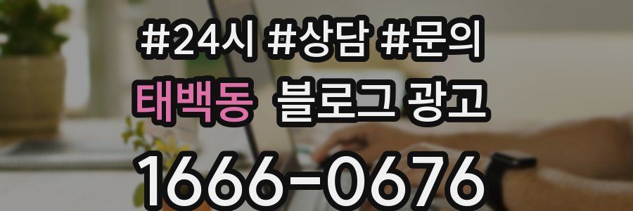 태백동 브랜드 블로그