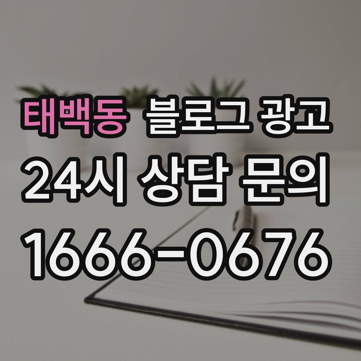 태백동 블로그 광고