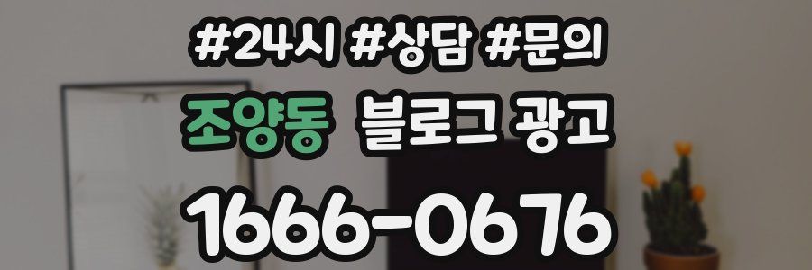 조양동 브랜드 블로그