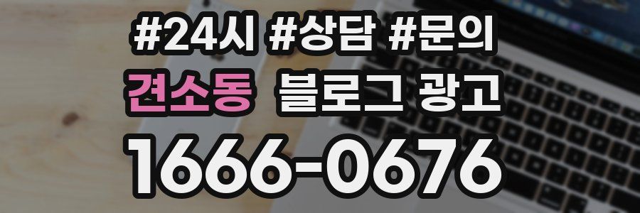견소동 브랜드 블로그