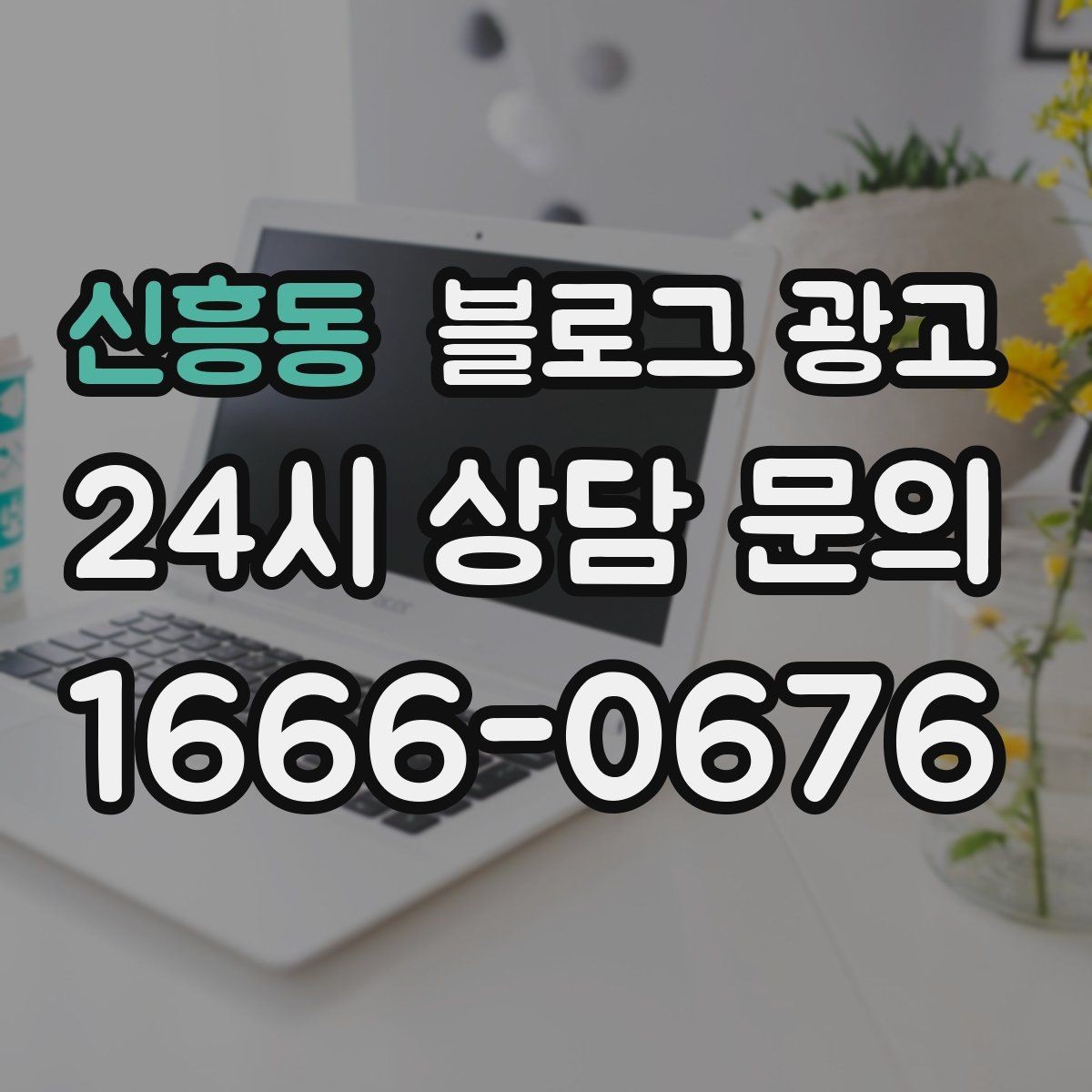 신흥동 블로그 광고 1인 손님도 편한 공간이라는 인상을 주는 법
