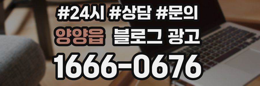 양양읍 브랜드 블로그
