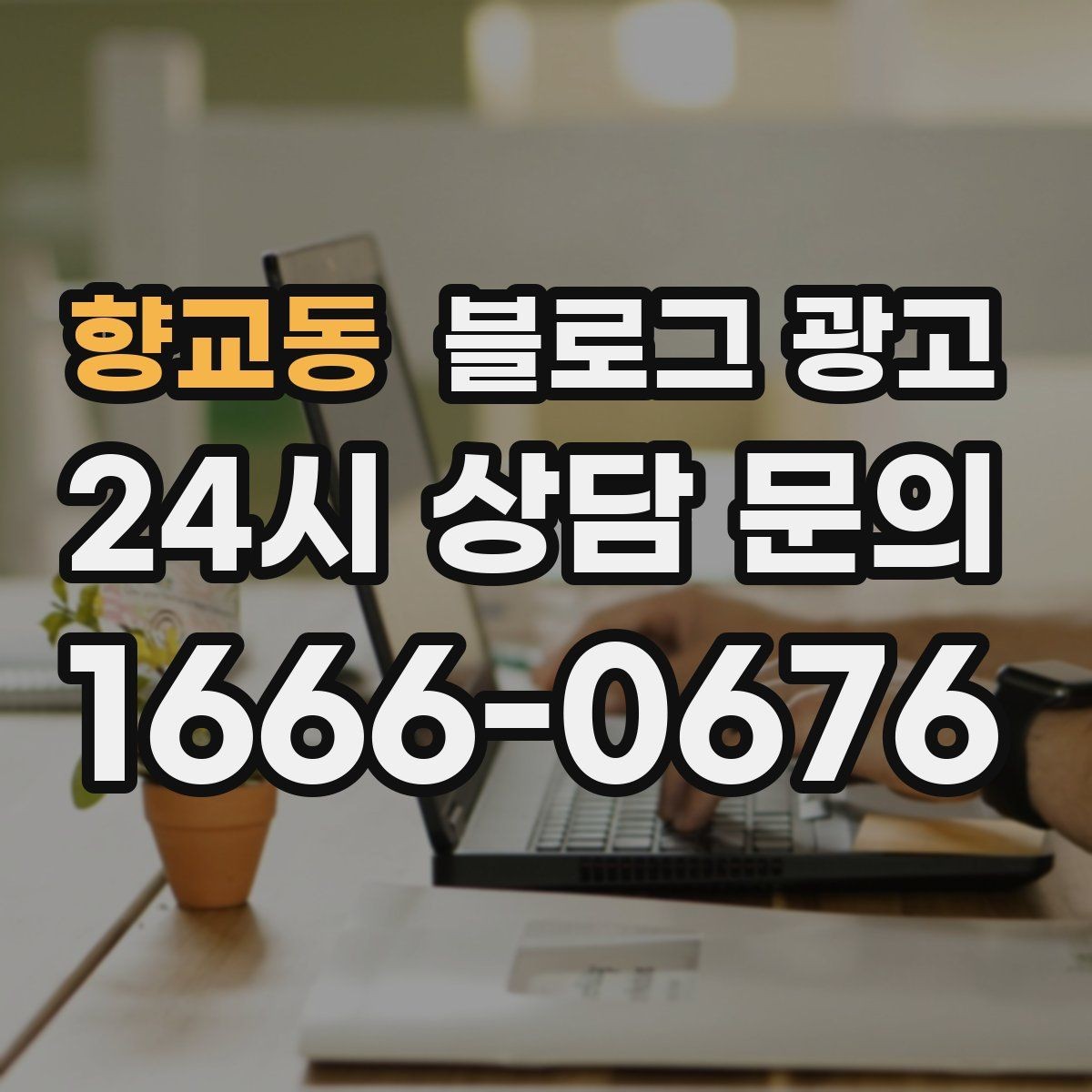 향교동 블로그 광고 포인트 적립과 멤버십 안내를 정리하는 법