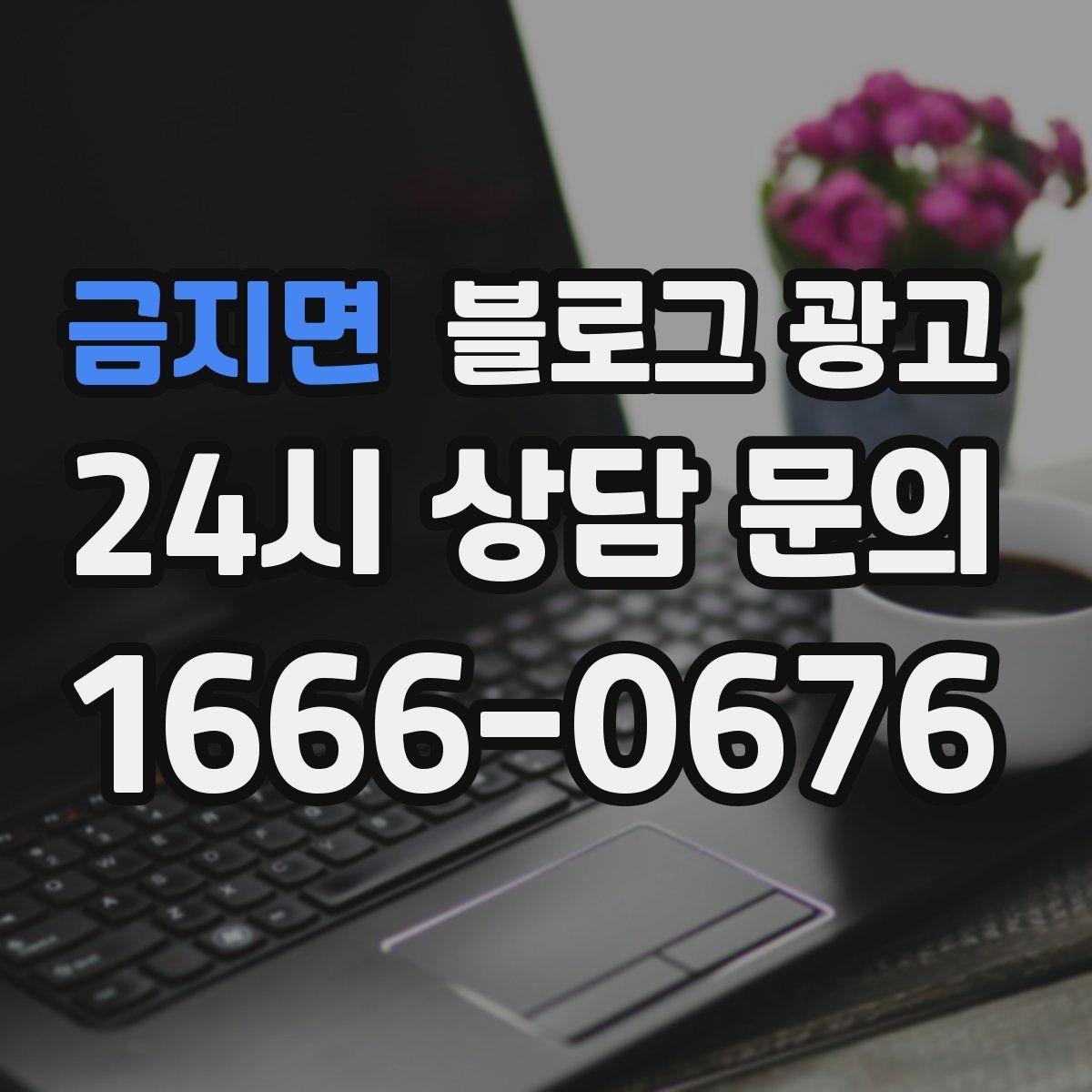 금지면 블로그 광고 계절마다 바뀌는 인테리어를 기록하는 방법