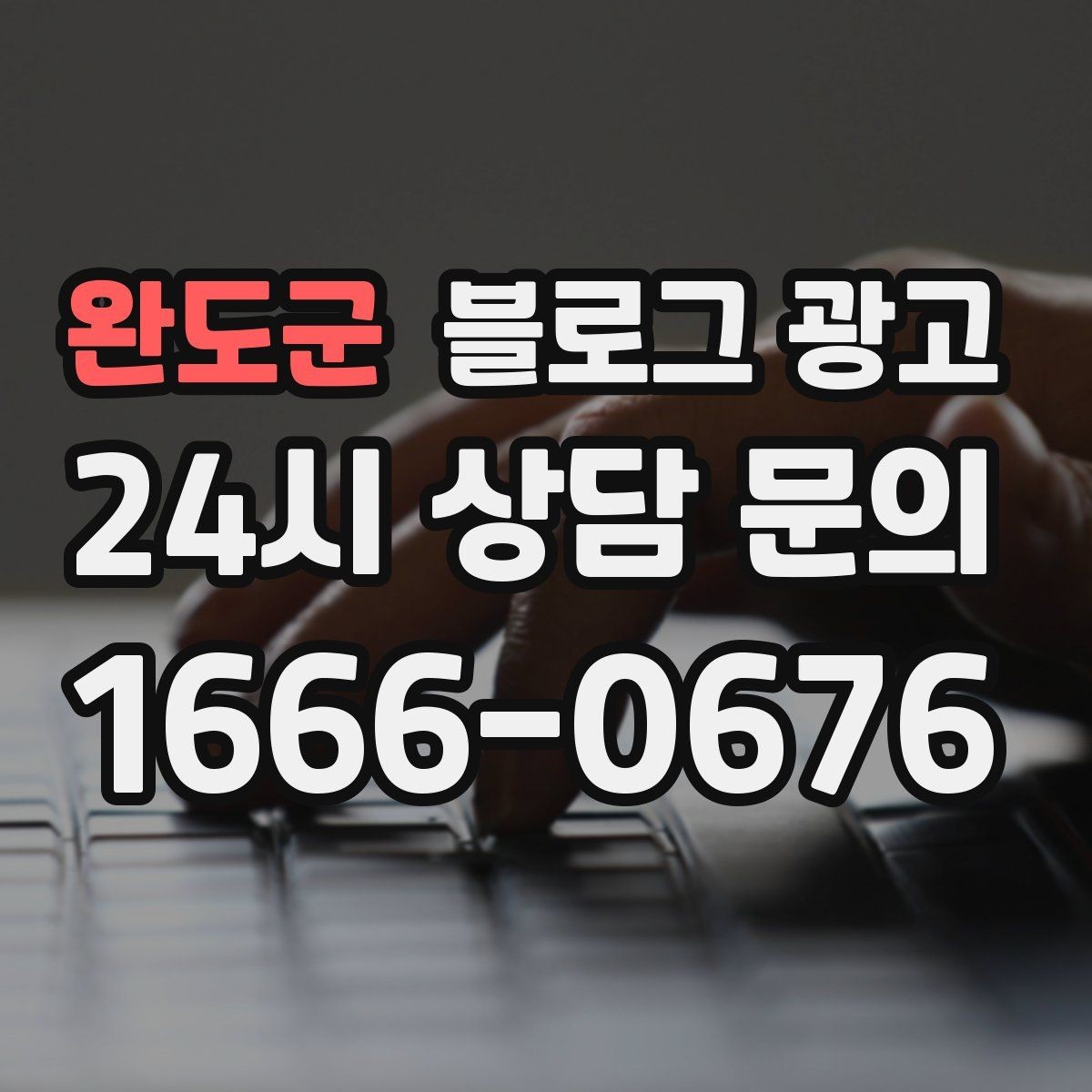 완도군 블로그 광고 공식 홈페이지가 없을 때 대신 써먹는 랜딩 페이지