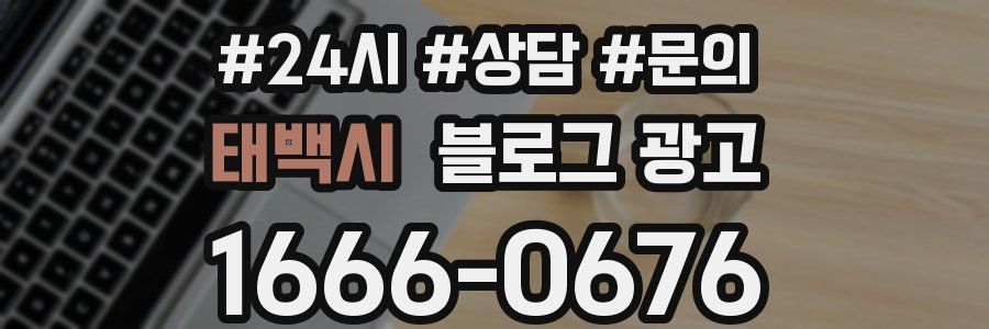 태백시 브랜드 블로그