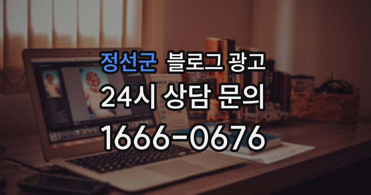 정선군 블로그 광고