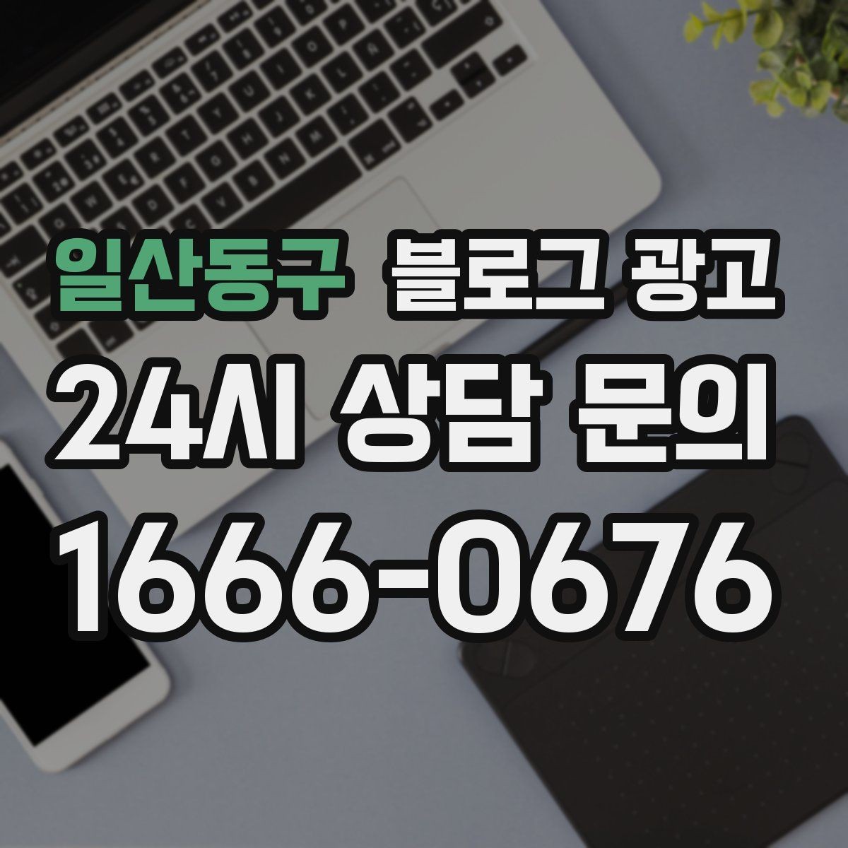 일산동구 블로그 광고 지도와 검색에서 함께 노출되게 만드는 법