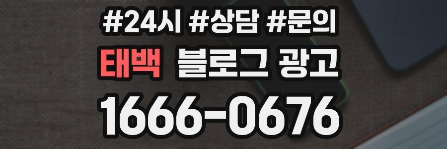 태백 브랜드 블로그