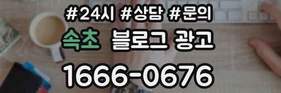 속초 브랜드 블로그