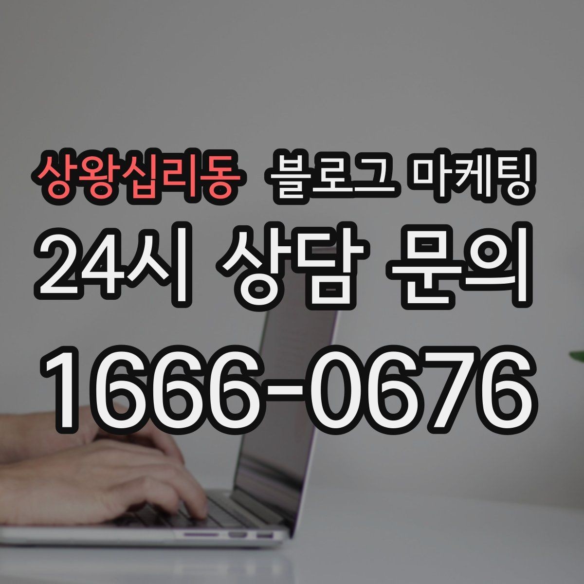 상왕십리동 블로그 마케팅 내년을 준비하는 사장님을 위한 장기 플랜 제목