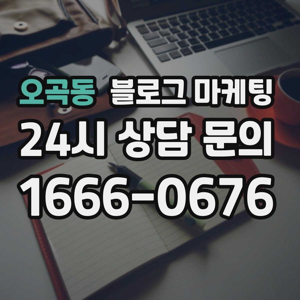 오곡동 블로그 마케팅 출장 서비스 업종의 서비스 지역 지도화 아이디어