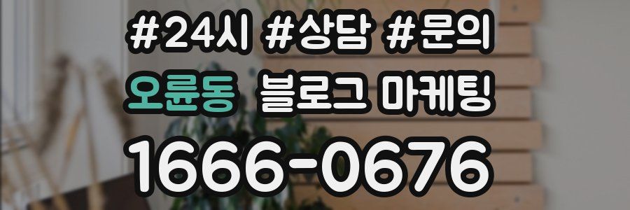 오륜동 브랜드 블로그
