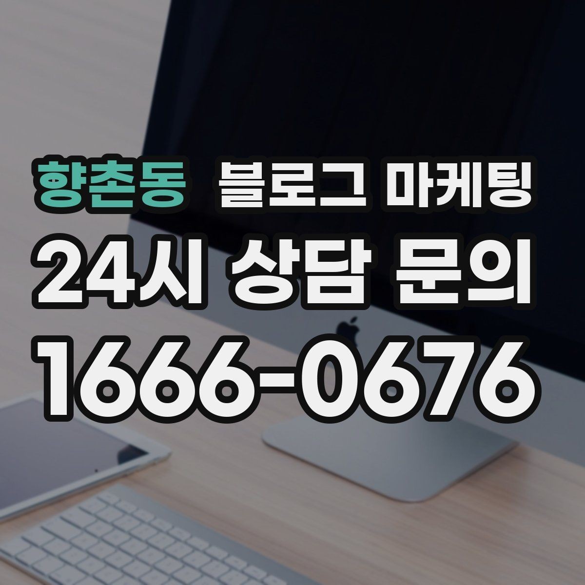향촌동 블로그 마케팅 가게 안에서 벌어지는 일상의 장면을 기록하기