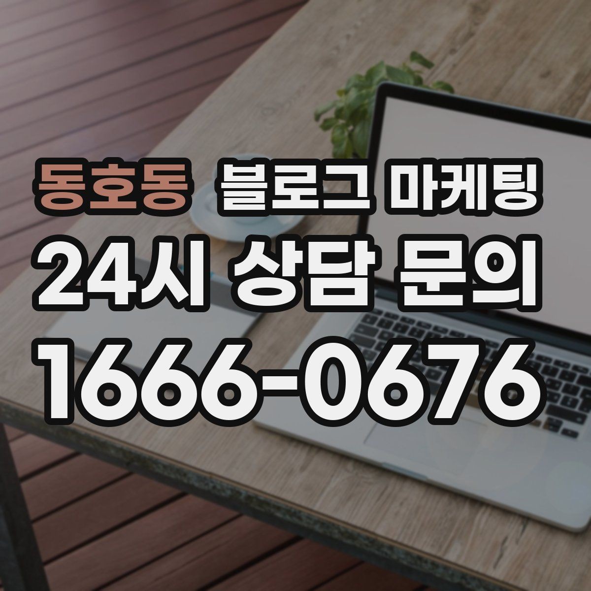 동호동 블로그 마케팅 여행객이 좋아할 로컬 포인트를 함께 소개하는 법