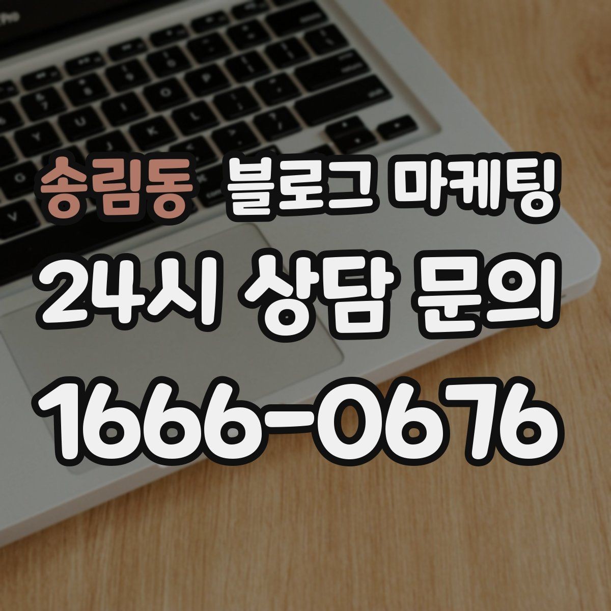 송림동 블로그 마케팅 출장 서비스 업종의 서비스 지역 지도화 아이디어