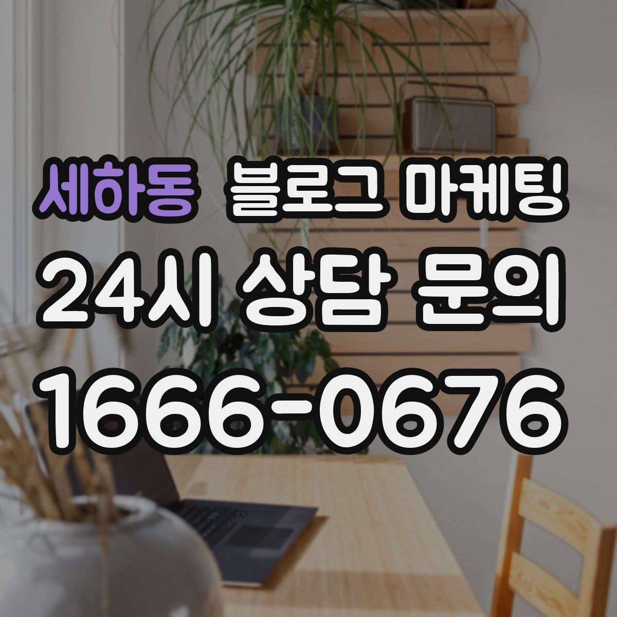 세하동 블로그 마케팅