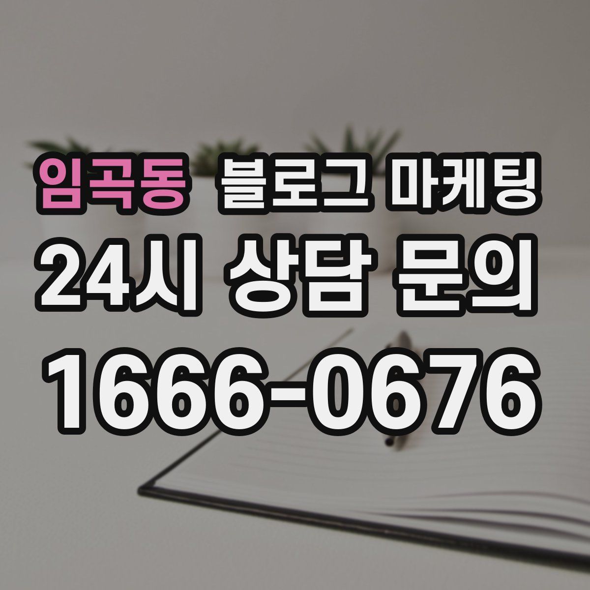 임곡동 블로그 마케팅