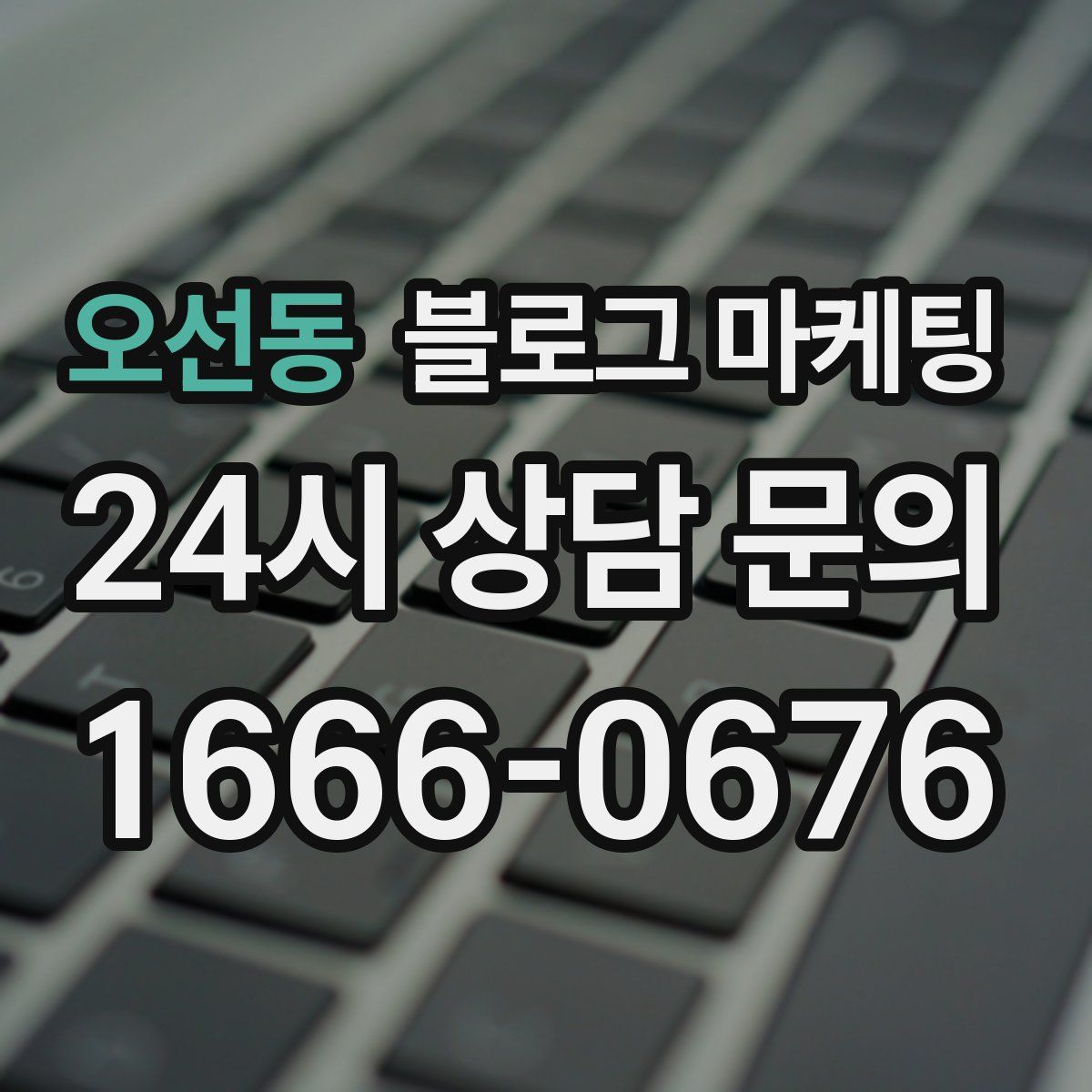오선동 블로그 마케팅
