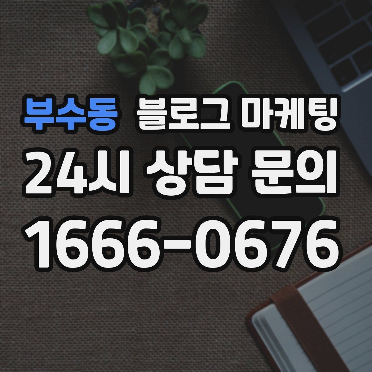 부수동 블로그 마케팅 로컬 재료와 산지 직송을 강조하는 브랜딩