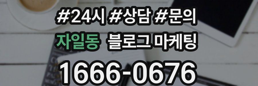 자일동 브랜드 블로그