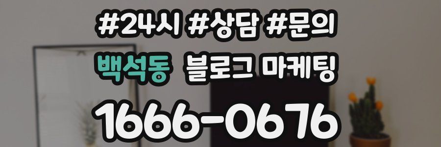 백석동 브랜드 블로그