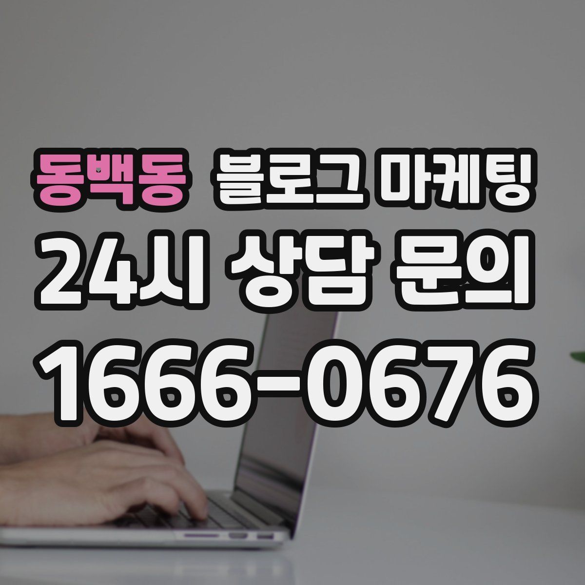 동백동 블로그 마케팅