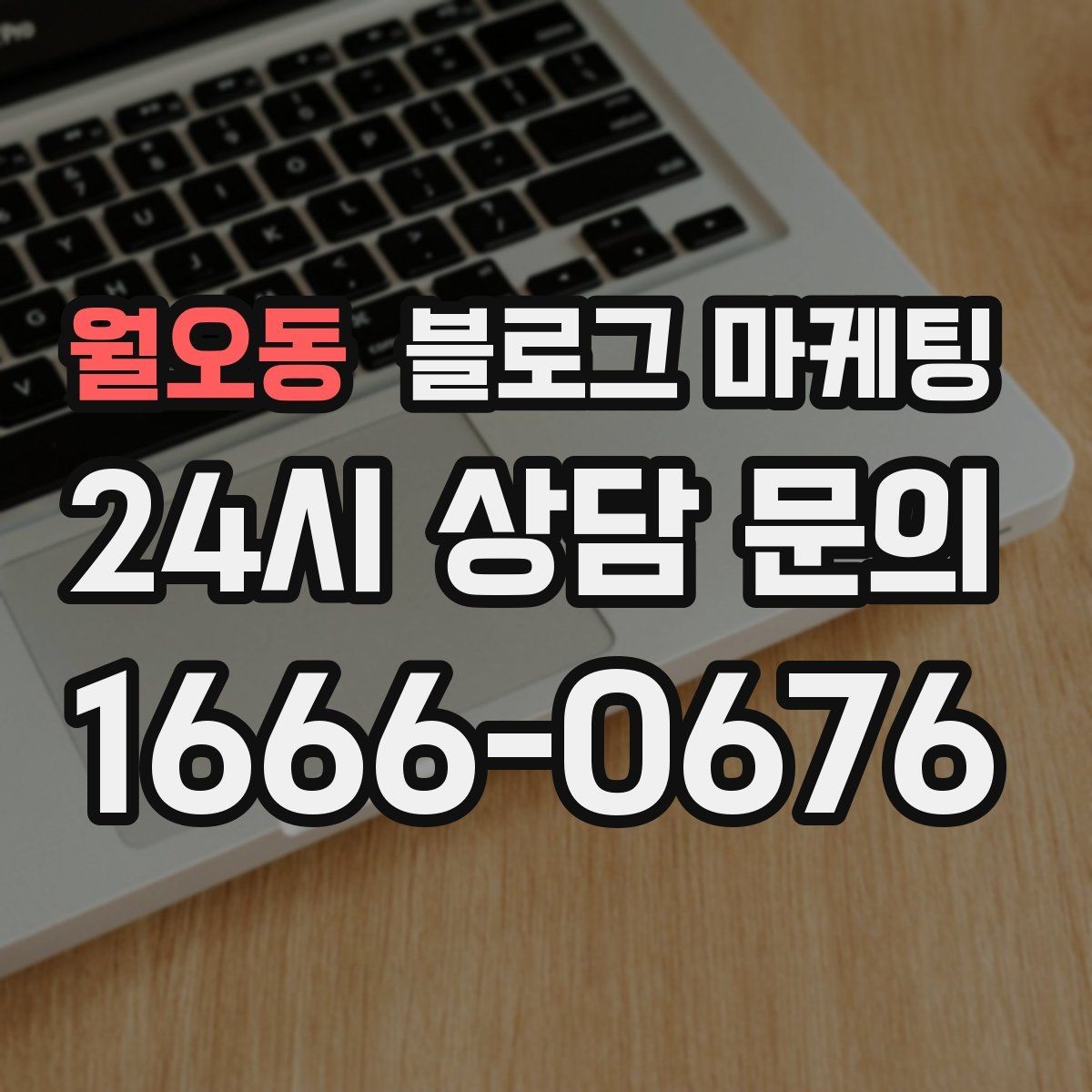 월오동 블로그 마케팅 천천히 꾸준히 쌓을수록 힘을 발휘하는 자산