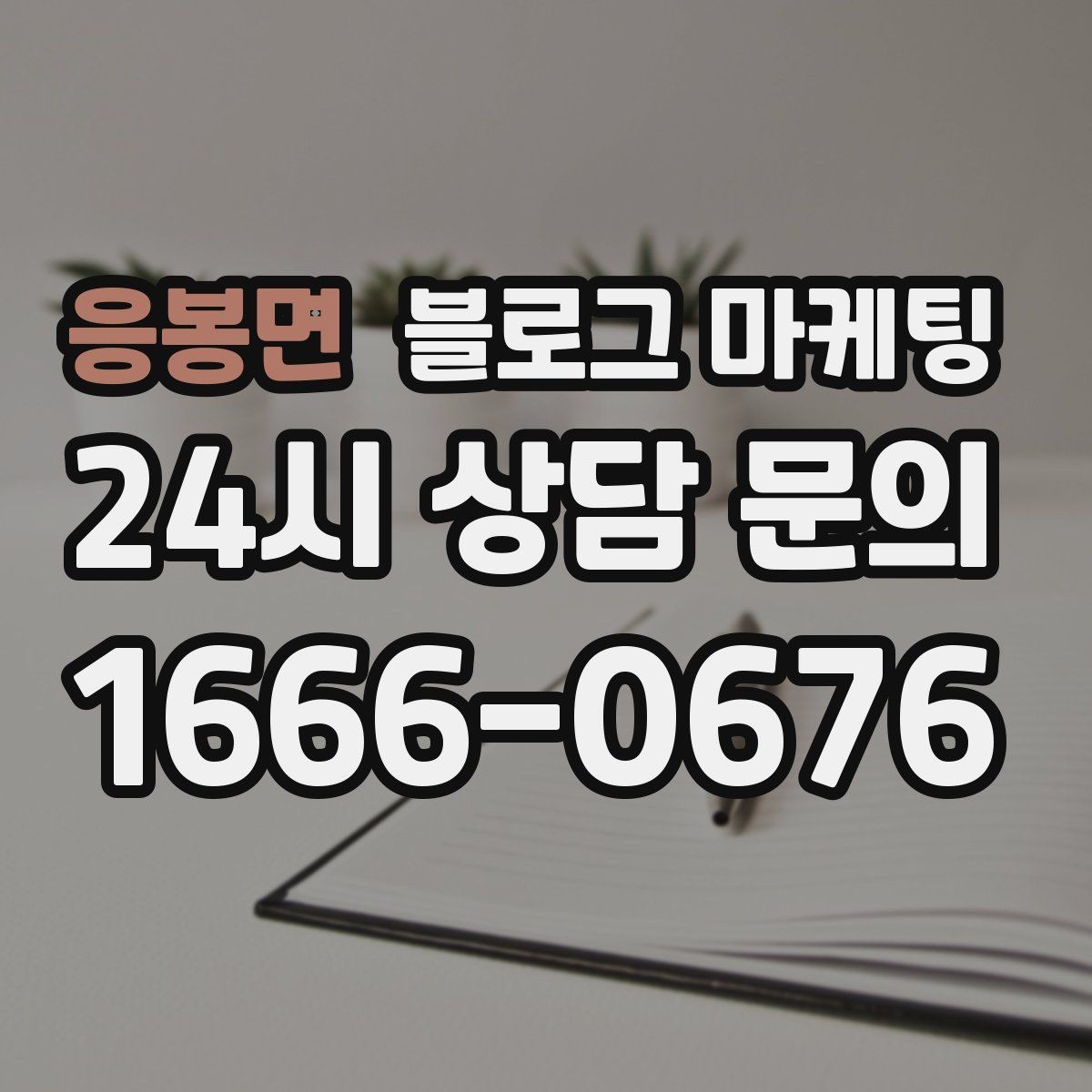 응봉면 블로그 마케팅 사진 스튜디오 프로필 촬영 전후 사례 정리법
