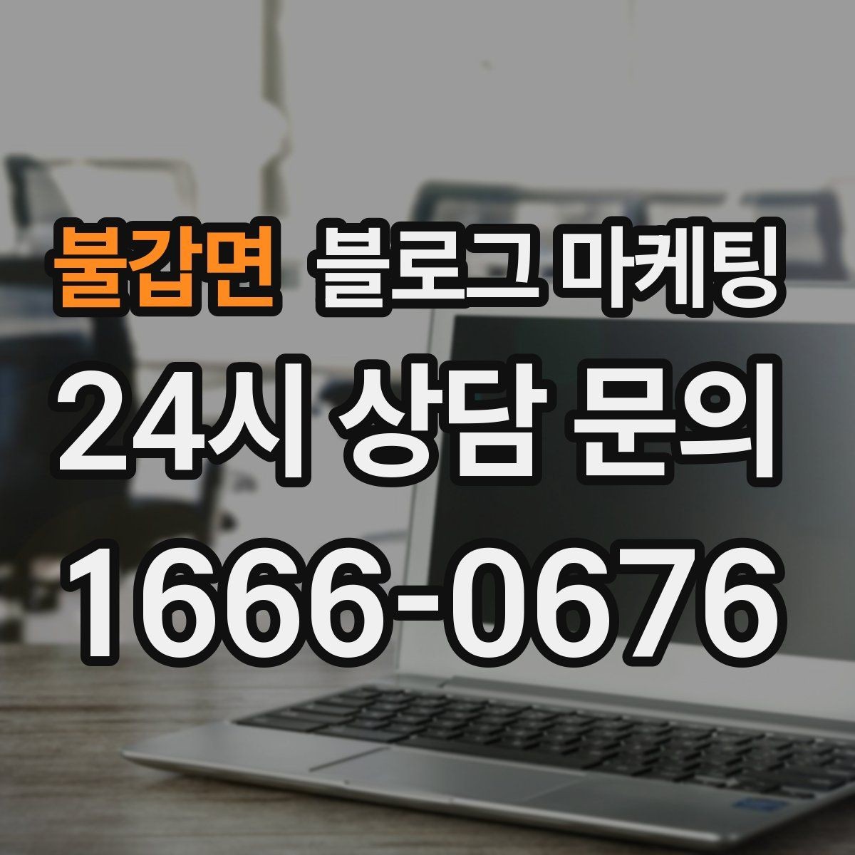 불갑면 블로그 마케팅 첫 오픈부터 지금까지 성장 과정을 담는 연대기