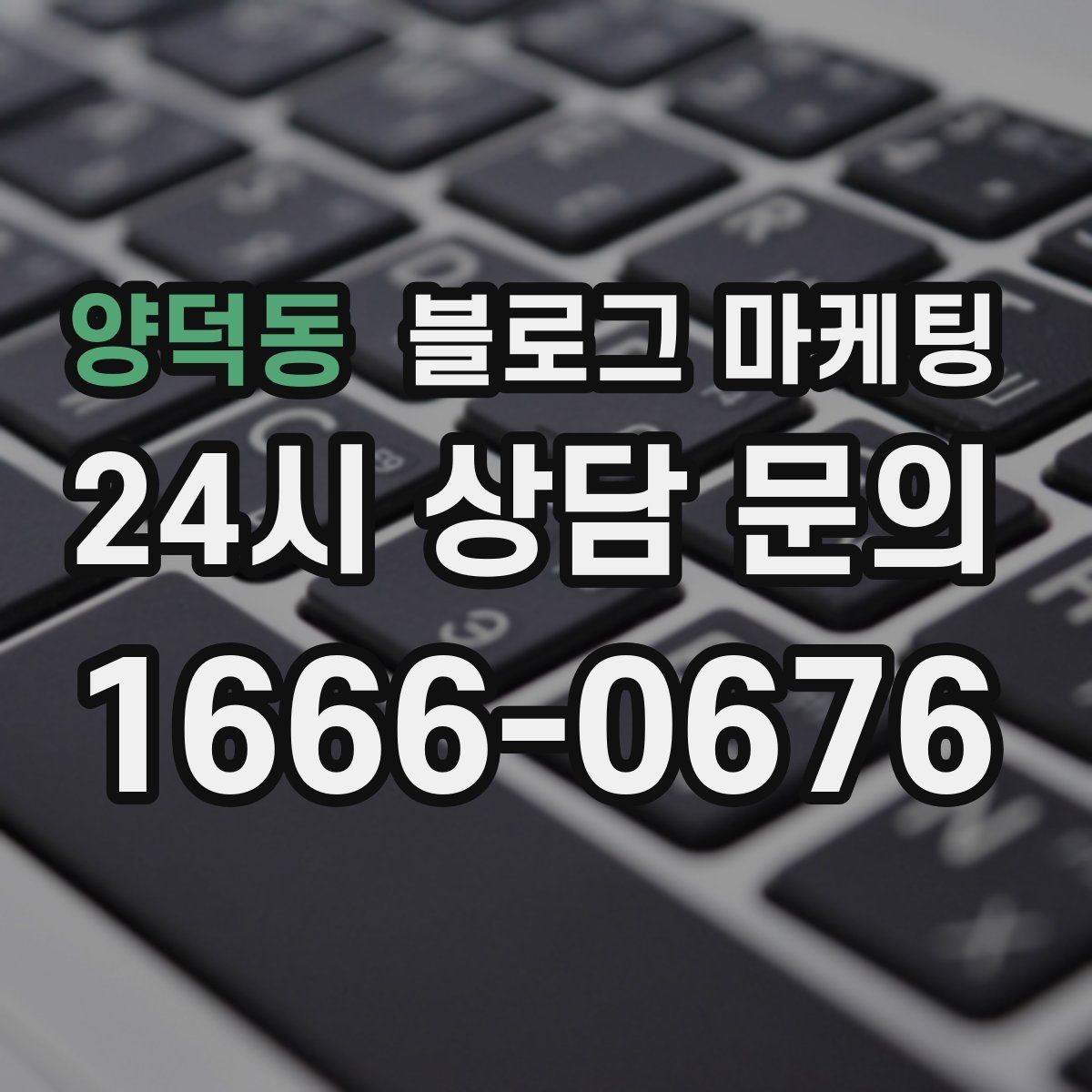 양덕동 블로그 마케팅 반려동물 병원 미용샵 보호자 안심 포인트 정리