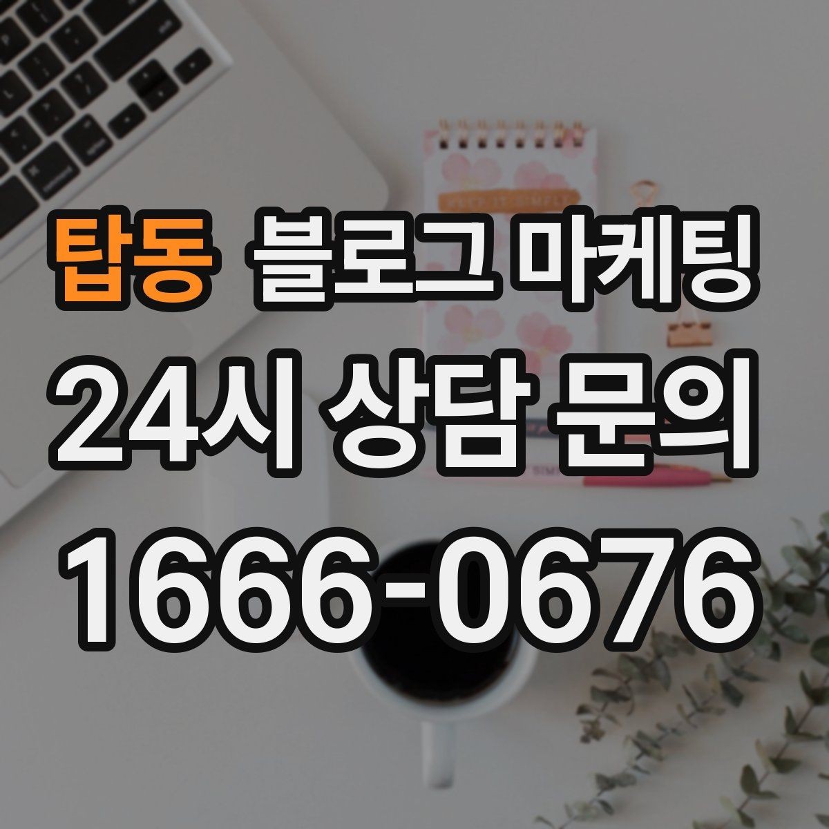 탑동 블로그 마케팅 로컬 재료와 산지 직송을 강조하는 브랜딩