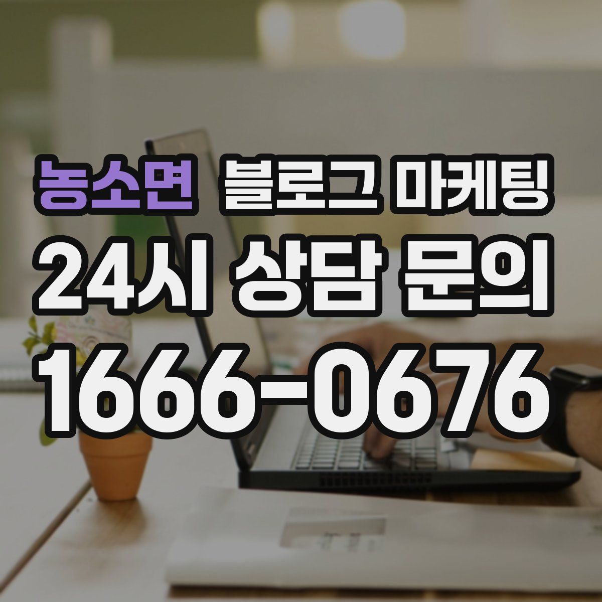 농소면 블로그 마케팅