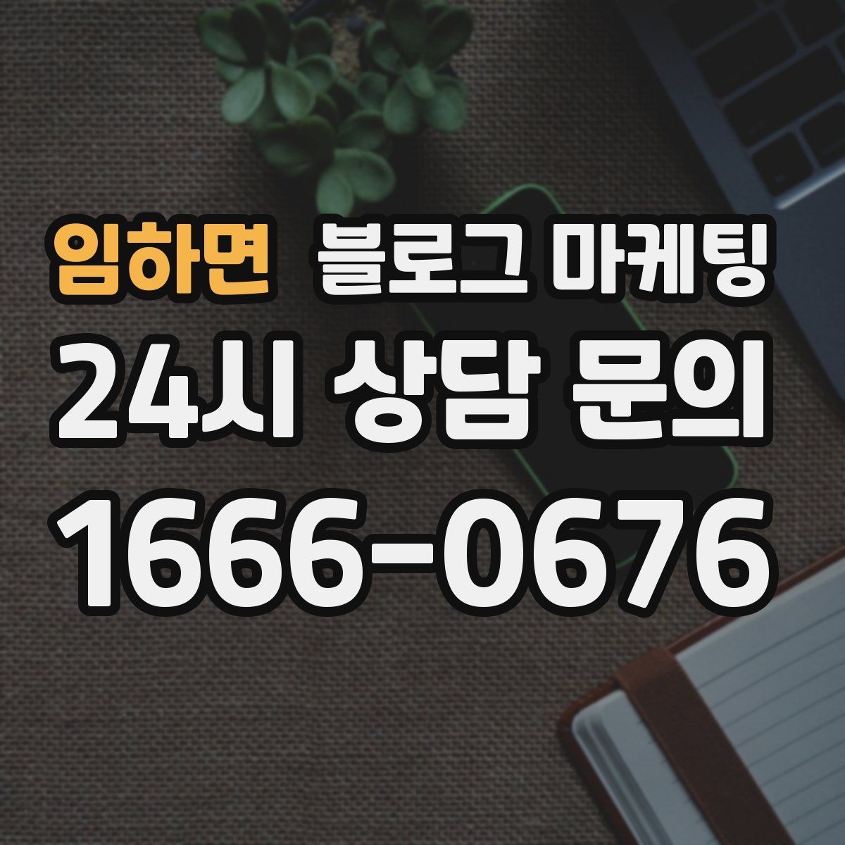 임하면 블로그 마케팅 단골 포장 손님을 위한 숨은 메뉴 소개하기