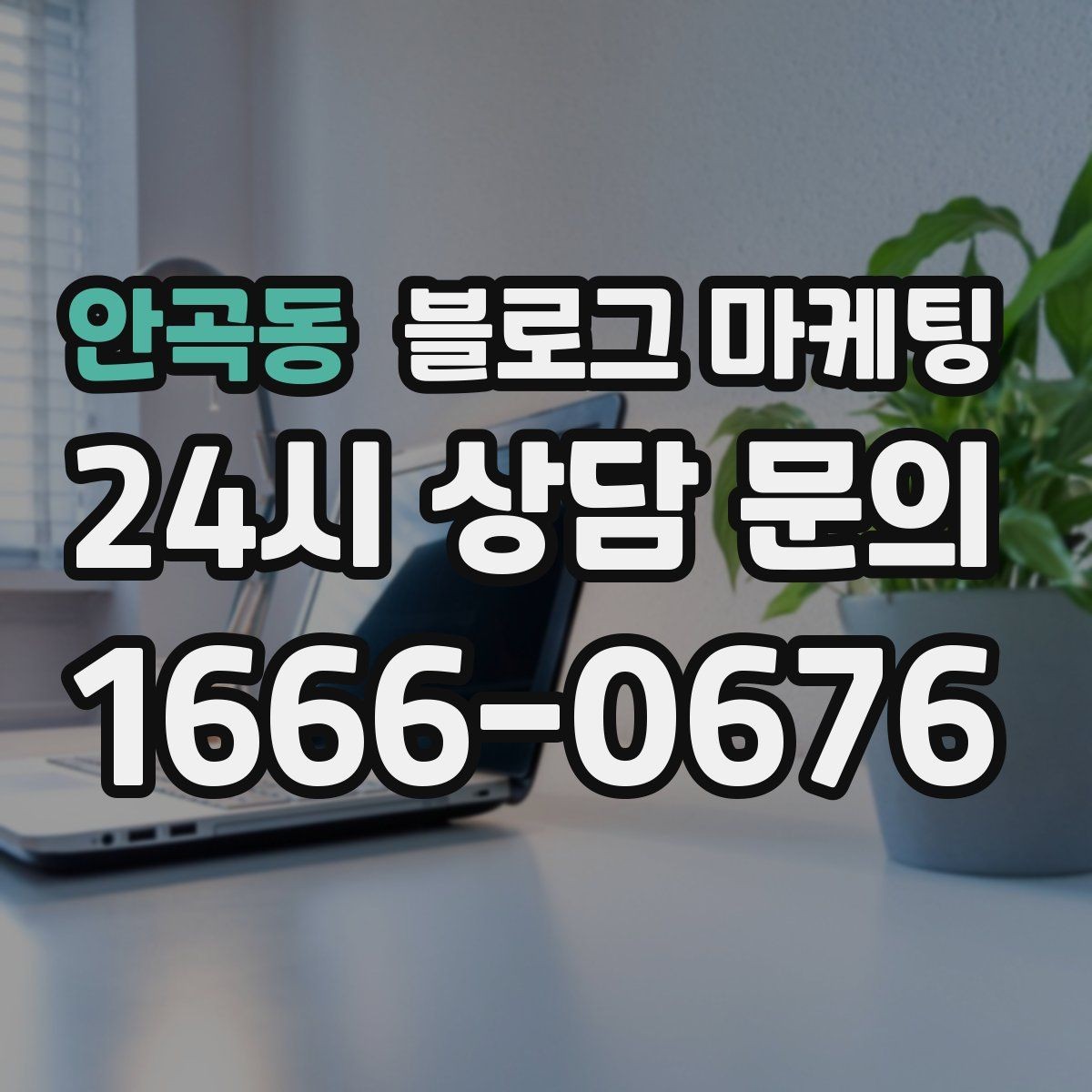 안곡동 블로그 마케팅 사진과 글 길이의 균형을 맞추는 감각 키우기