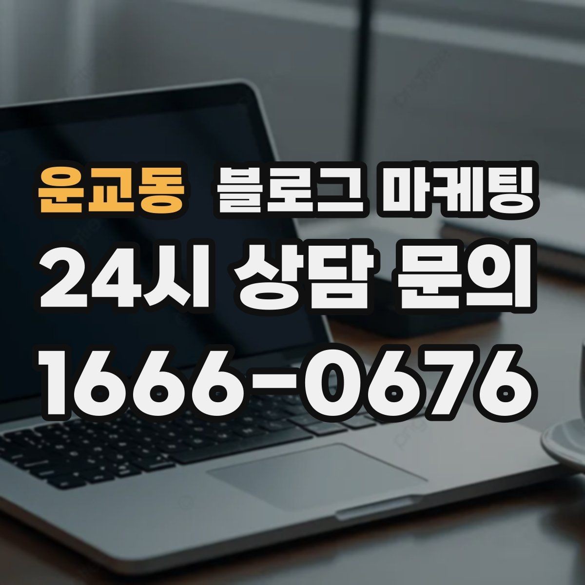 운교동 블로그 마케팅 새 아파트 입주민 타깃의 상권 소개 콘텐츠 기획