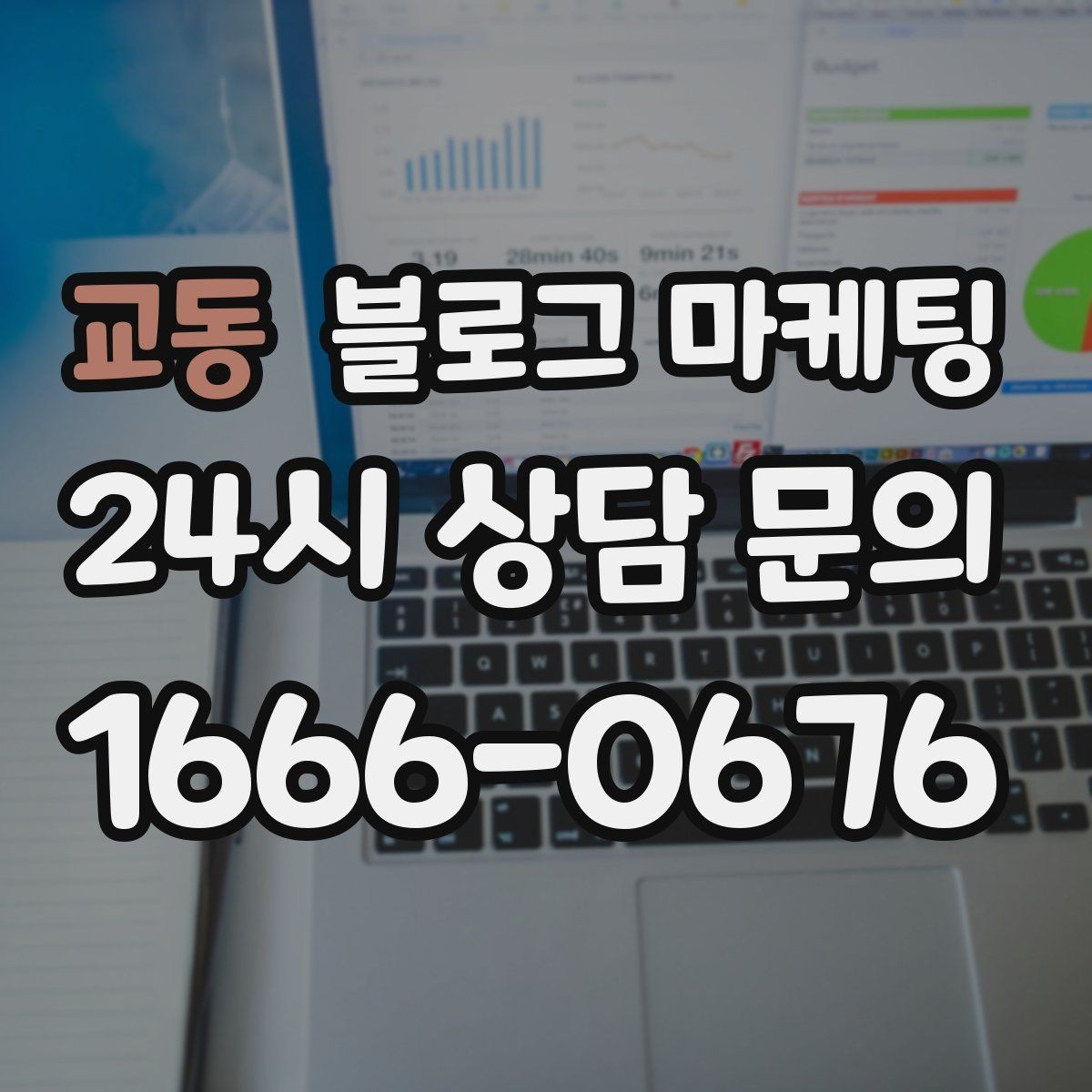 교동 블로그 마케팅 반려동물 동반 가능한 매장의 이용 수칙 안내법