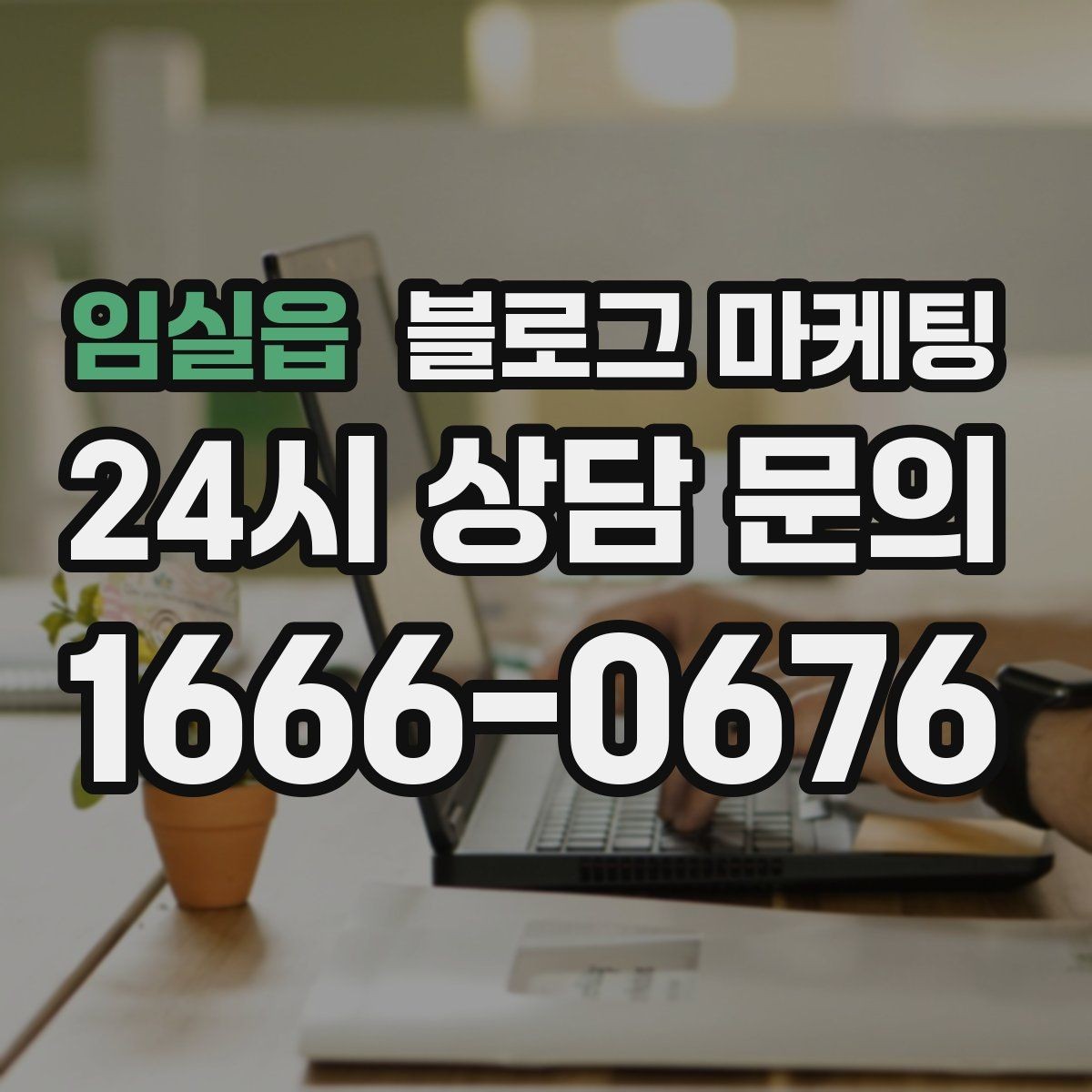 임실읍 블로그 마케팅 프랜차이즈 사장님이 스스로 보완해야 할 로컬 콘텐츠