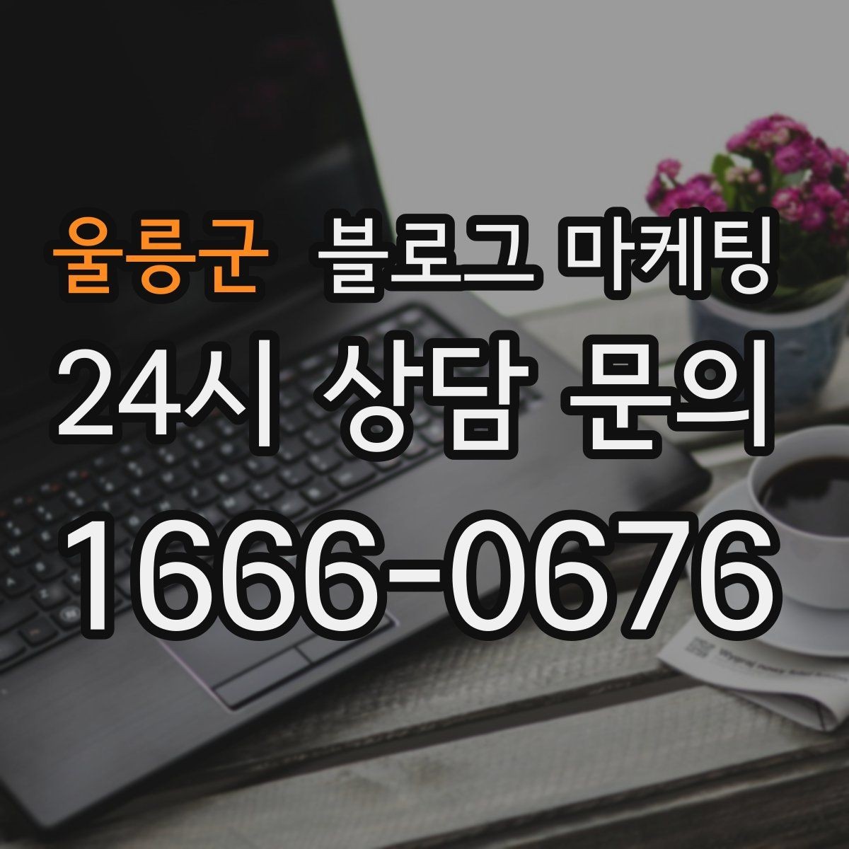 울릉군 블로그 마케팅 프랜차이즈 사장님이 스스로 보완해야 할 로컬 콘텐츠