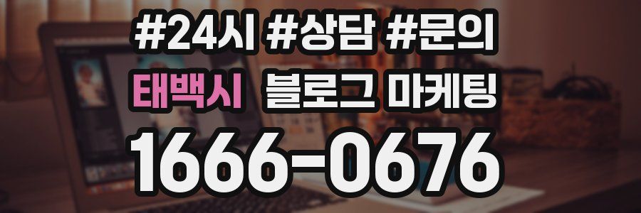 태백시 브랜드 블로그