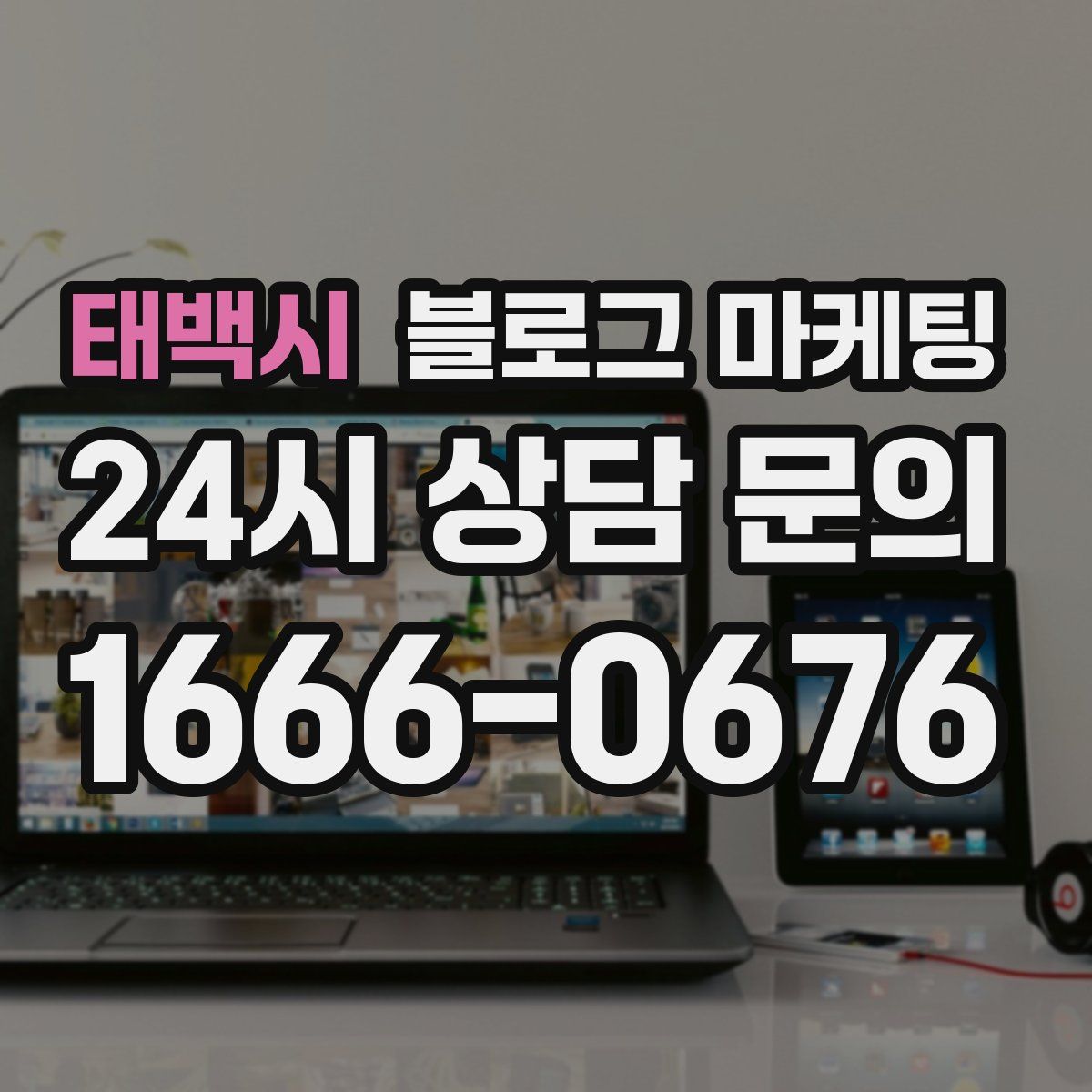 태백시 블로그 마케팅