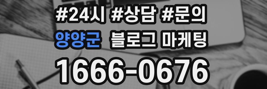 양양군 브랜드 블로그